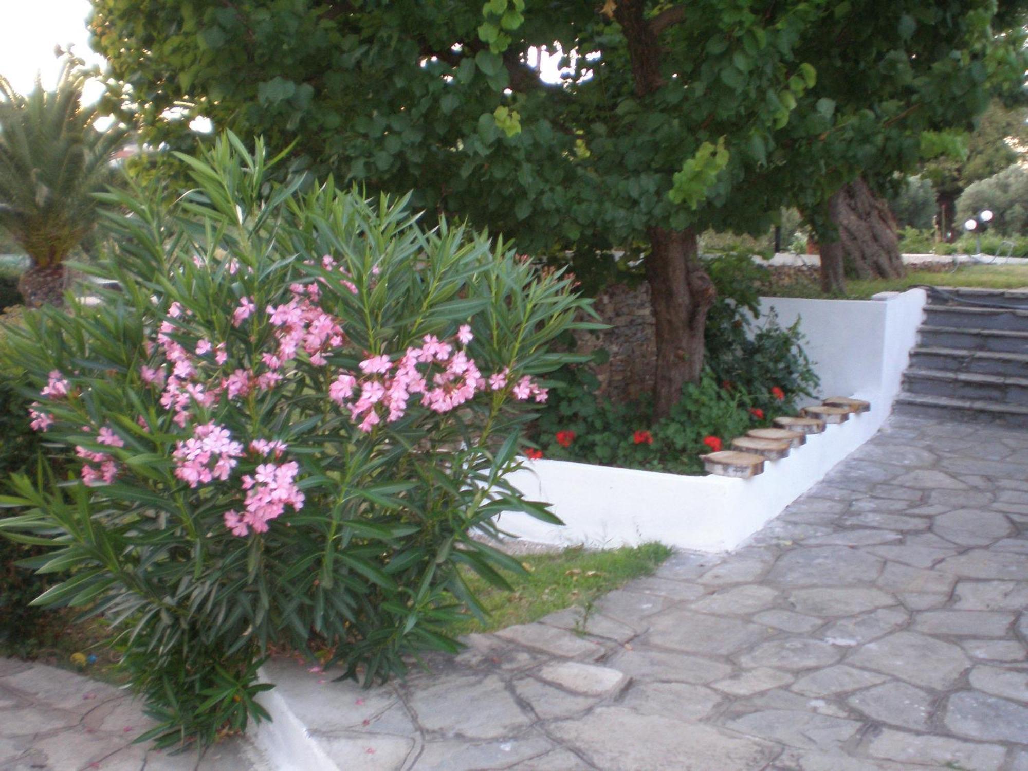 Porto Matina 3*