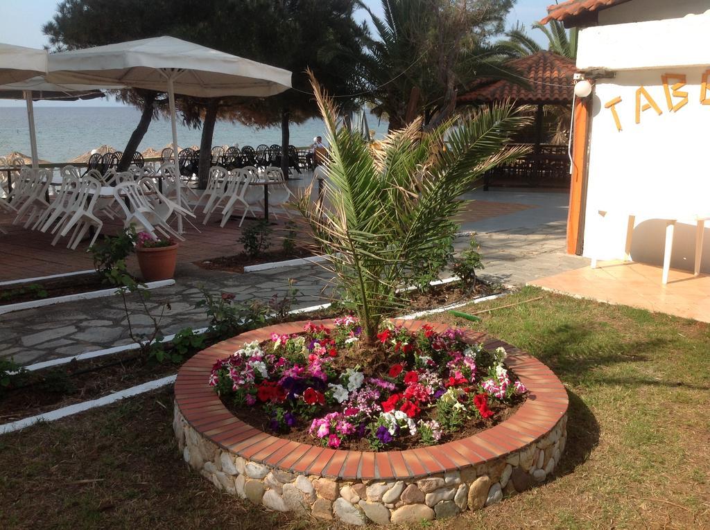 Porto Matina 3* Metamorfosi (Sithonia)