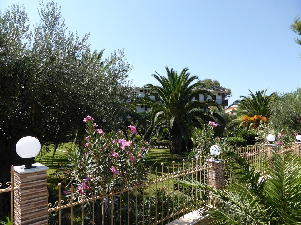 מלון Porto Matina